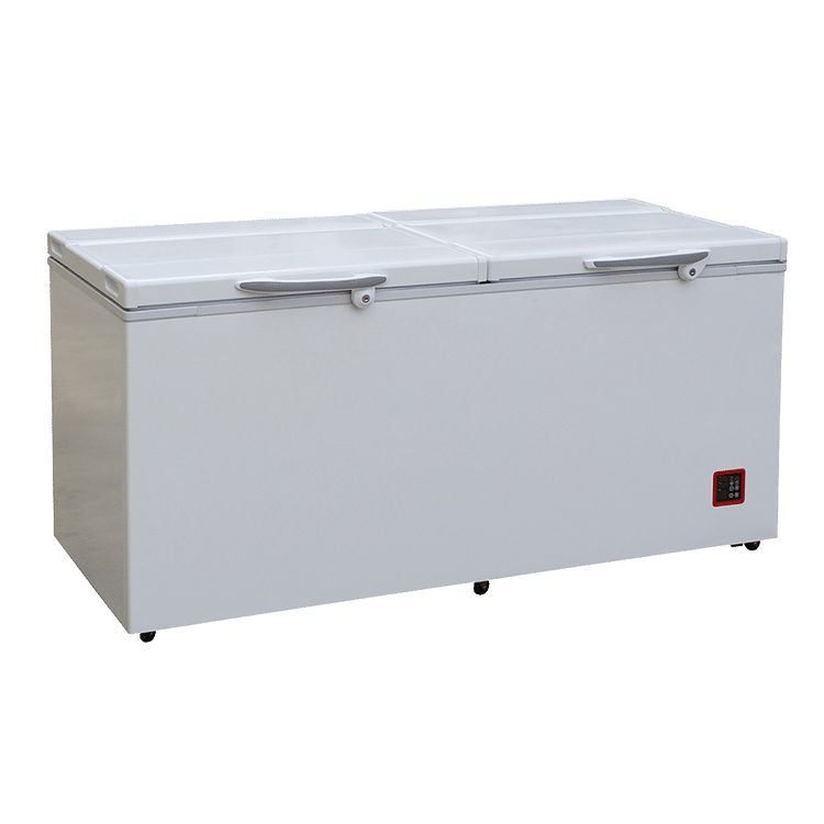 Besuncool BR335F 335L DC solar freezer