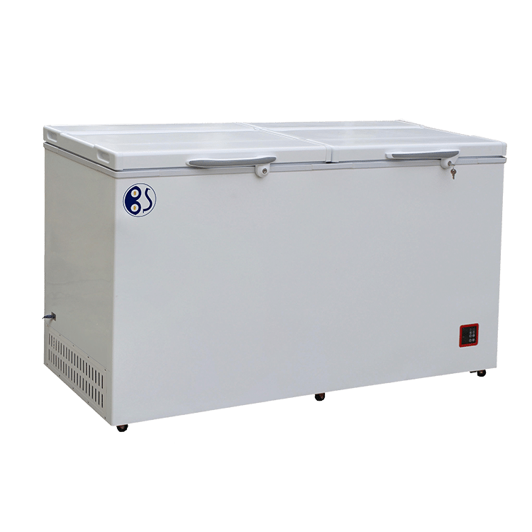 Besuncool BR433F 433L DC solar freezer